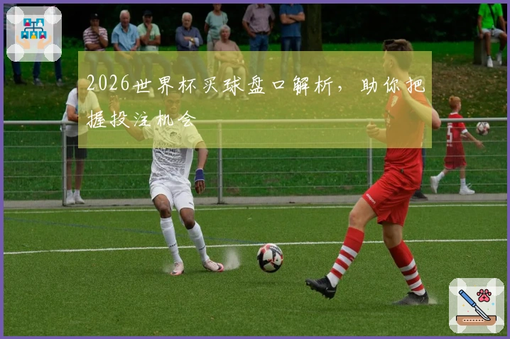 2026世界杯买球盘口解析，助你把握投注机会