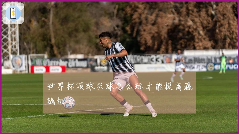 世界杯滚球买球怎么玩才能提高赢钱机会