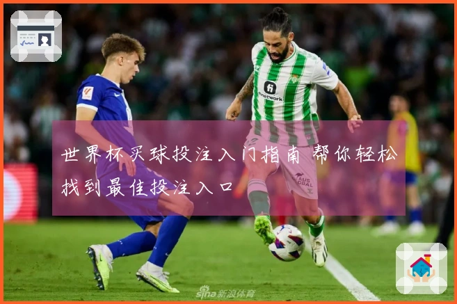 世界杯买球投注入门指南 帮你轻松找到最佳投注入口