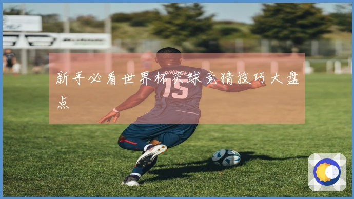 新手必看世界杯买球竞猜技巧大盘点