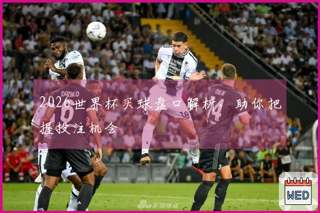 2026世界杯买球盘口解析，助你把握投注机会