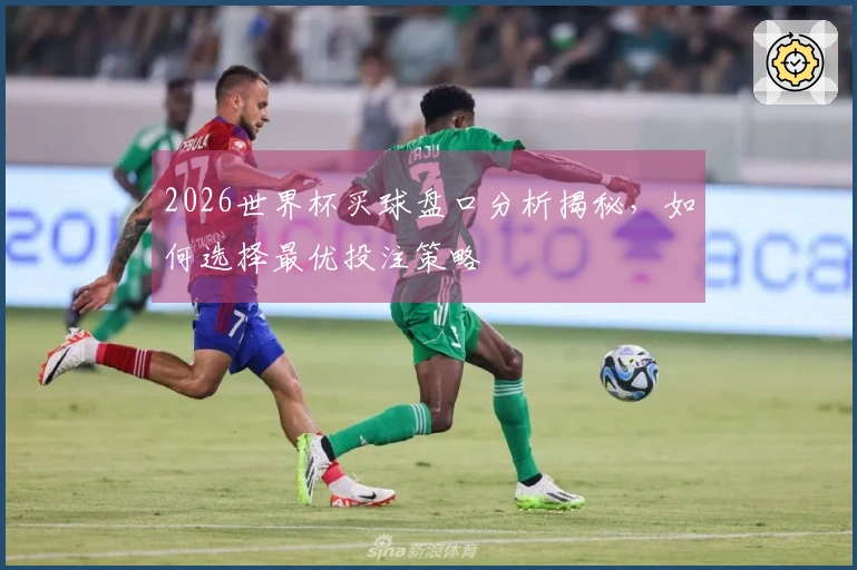 2026世界杯买球盘口分析揭秘，如何选择最优投注策略