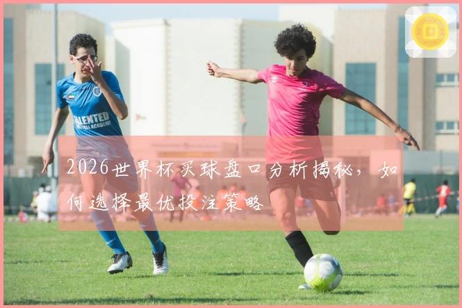 2026世界杯买球盘口分析揭秘，如何选择最优投注策略