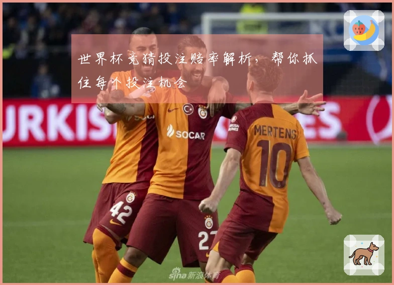 世界杯竞猜投注赔率解析，帮你抓住每个投注机会