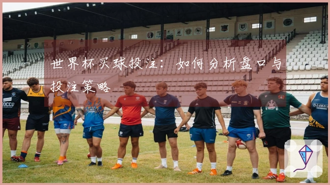 世界杯买球投注：如何分析盘口与投注策略