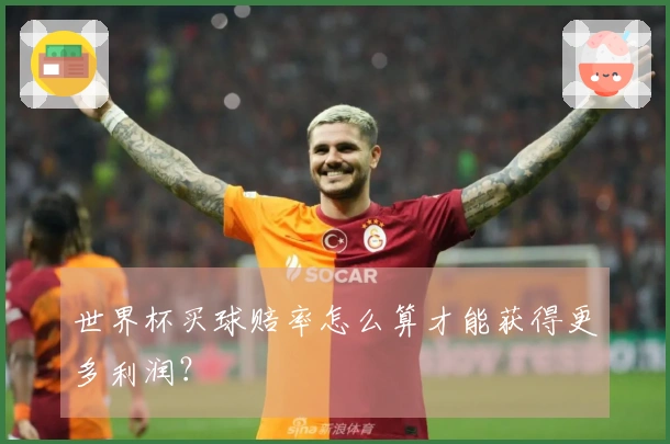 世界杯买球赔率怎么算才能获得更多利润？