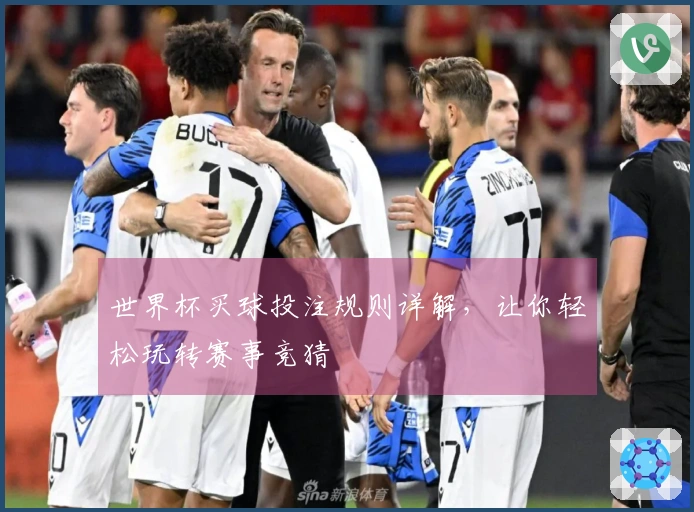 世界杯买球投注规则详解，让你轻松玩转赛事竞猜