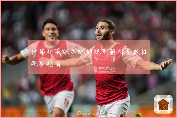 世界杯滚球买球的规则解析与数据观察指南